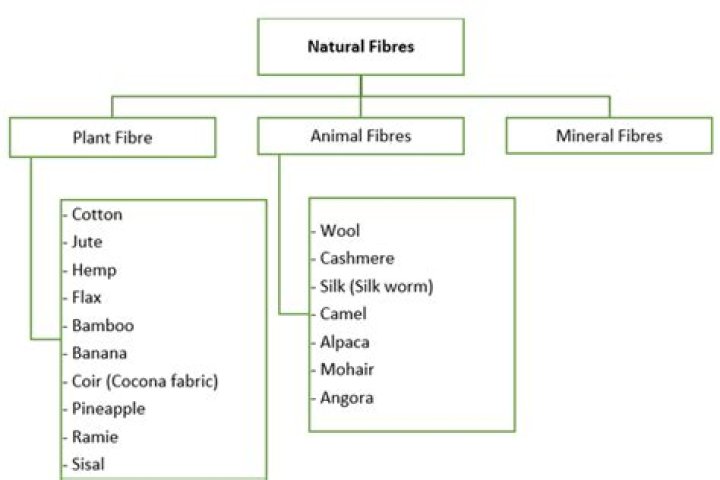 Can you name some natural Fibre?
