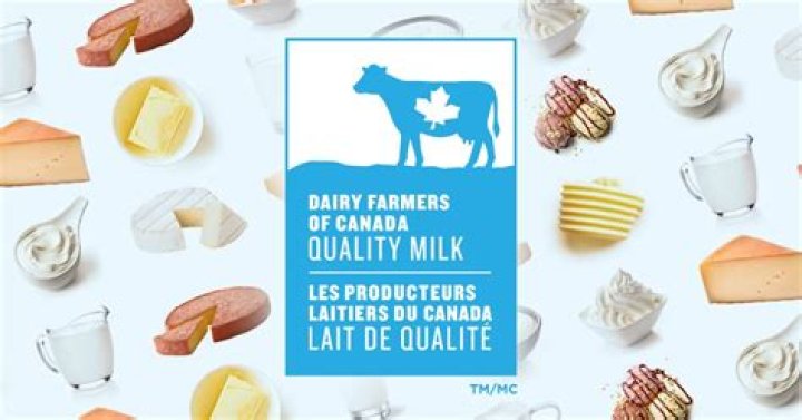 Do Canadian dairy have antibiotics?