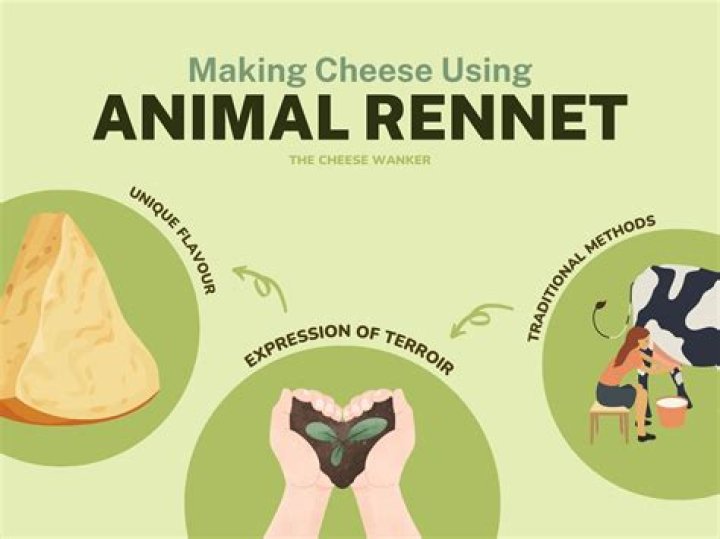 Does all Parmesan have animal rennet?