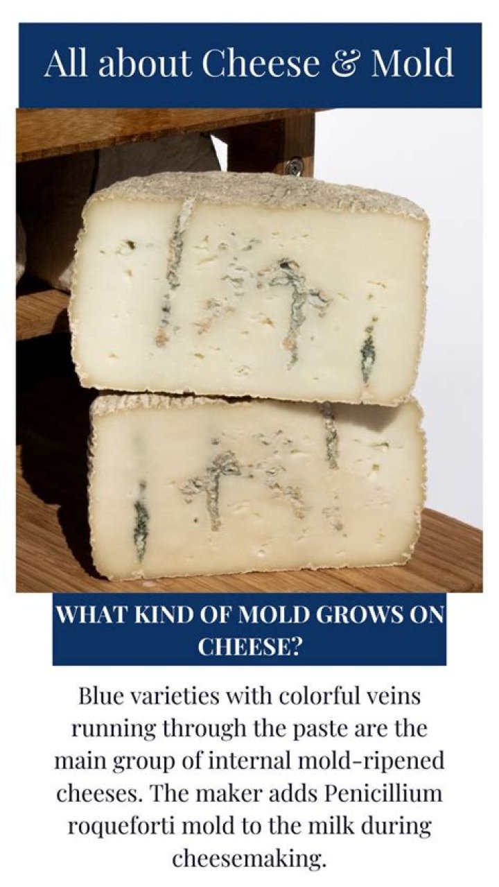 Does cheese ever mold?