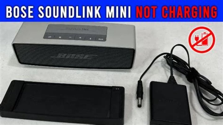 How do I know if my Bose mini link is charging?