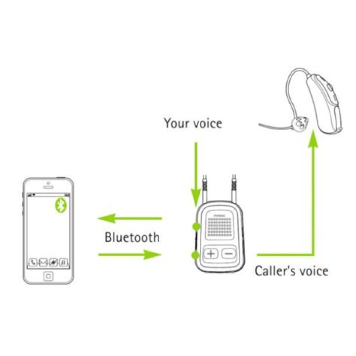 How do I reset my Phonak ComPilot 2?