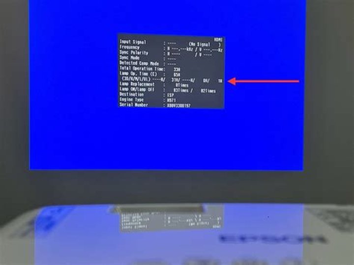 How do I reset my projector lamp timer?