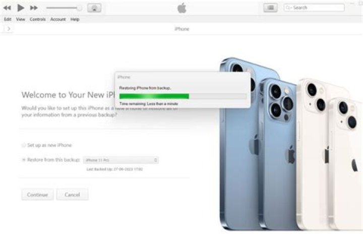 How do I transfer data from iTunes to iPhone 12?