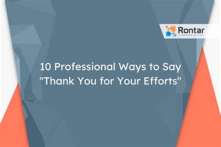 How do you say thanks for efforts?