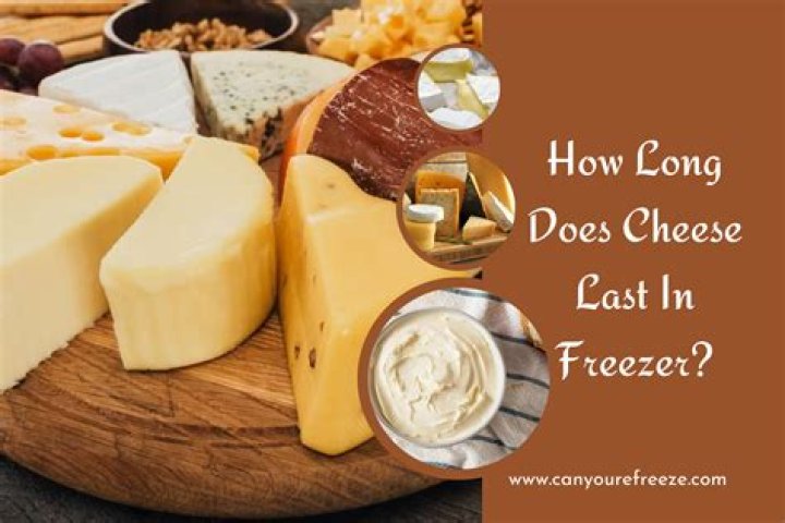 How long does cheese sauce last in freezer?