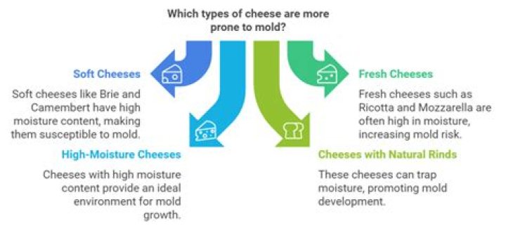 How long does it take for cheese to mold in fridge?