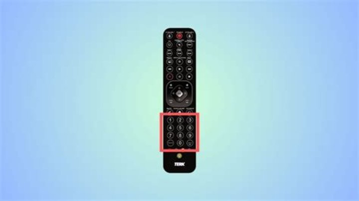 How many devices can a Terk remote control?