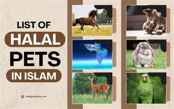 Is animal rennet in crisps halal?