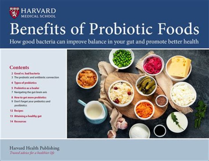 Is blue cheese a probiotic food?