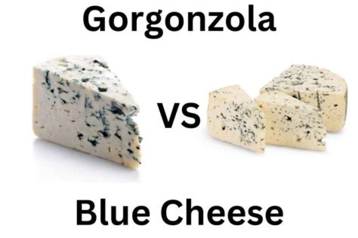 Is Gorgonzola milder than blue cheese?