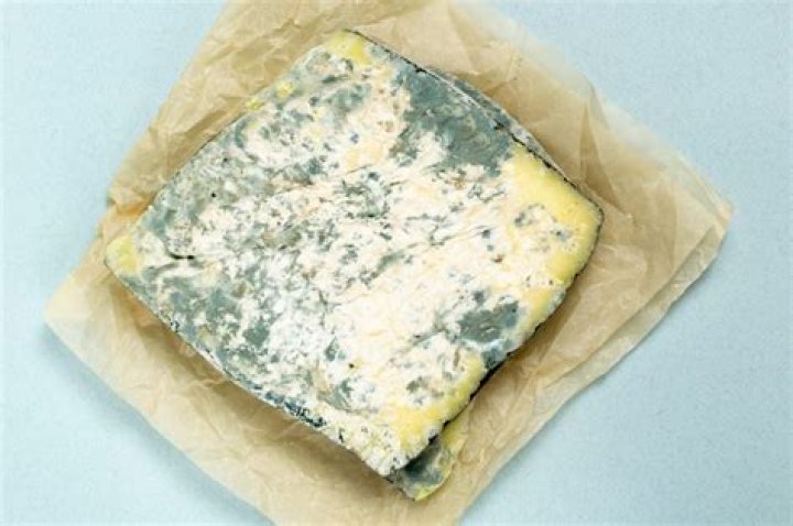 Is it bad to eat moldy nacho cheese?