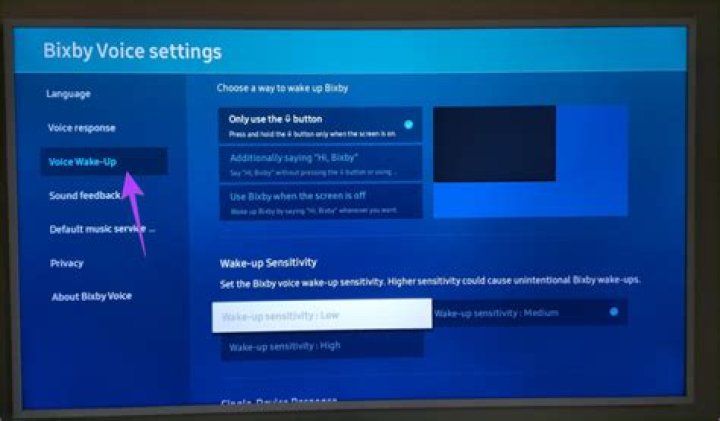 Is there a way to turn off voice purchase?