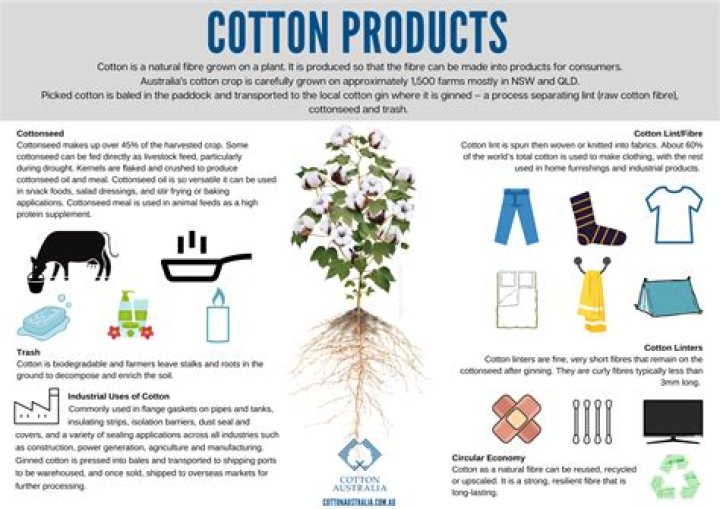 What are 10 things made out of cotton?