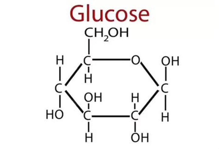 What are glucose found in?