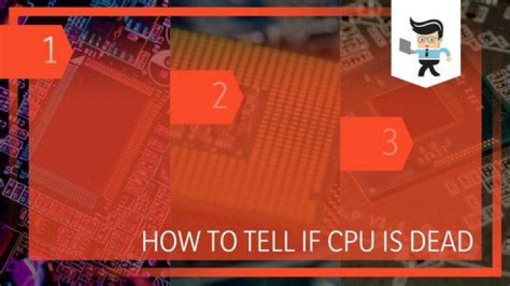 What are the signs of a dead CPU?