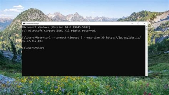 What are the timeout parameters for curl server?