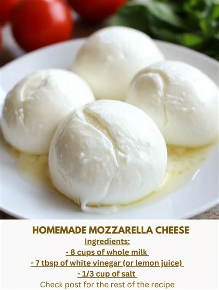 What bacteria is used to make mozzarella?