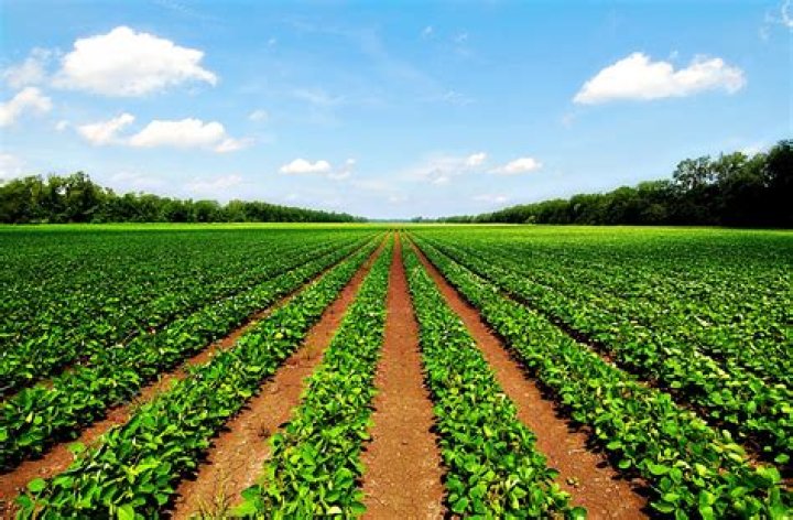 What best describes an agrarian?