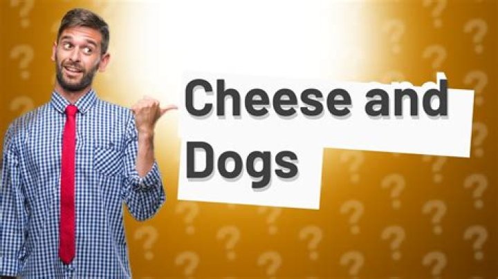 What cheese Can dogs not eat?