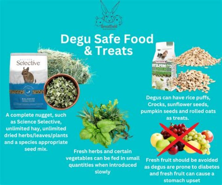 What foods are safe for degus?