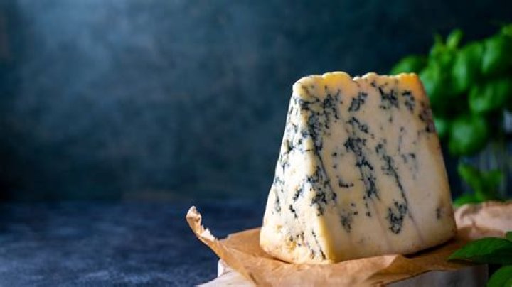What fungus is in cheese?