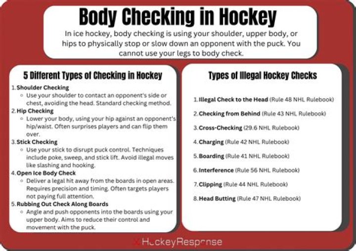 What is a checking line in hockey?
