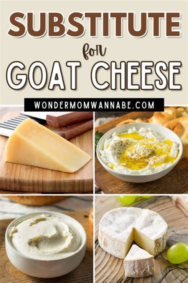 What is the best alternative to cheese?