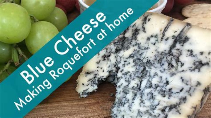 What kind of bacteria is used to make blue cheese?