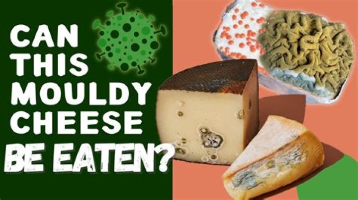 What kind of cheese can you eat with mold in it?
