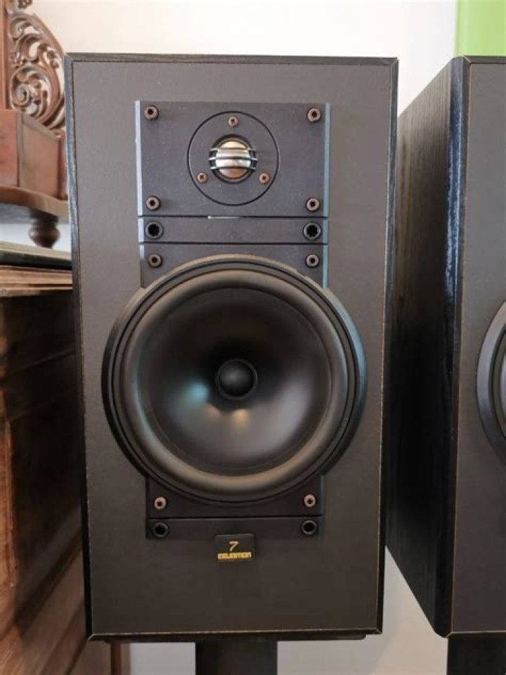 What kind of speakers does Onkyo TX sv515 use?