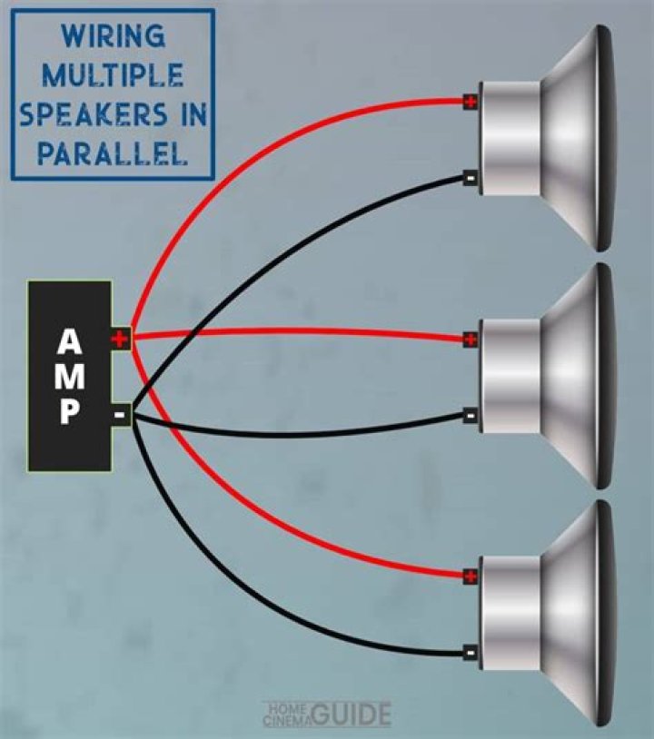 Where can I find the Peavey acoustics brand?