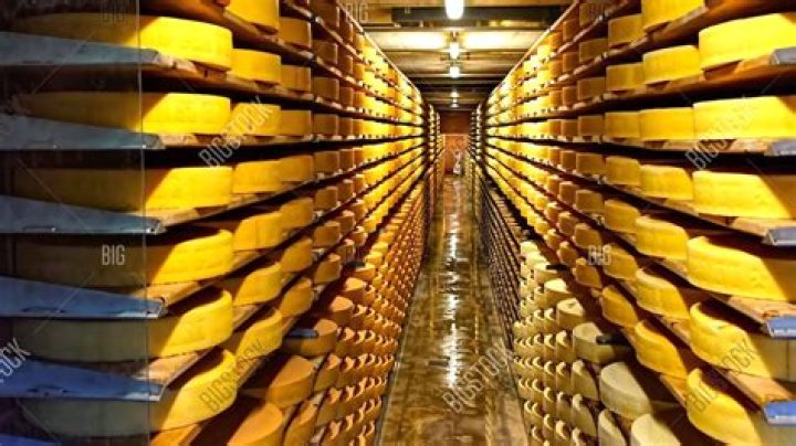 Where does most of the cheese in the US come from?