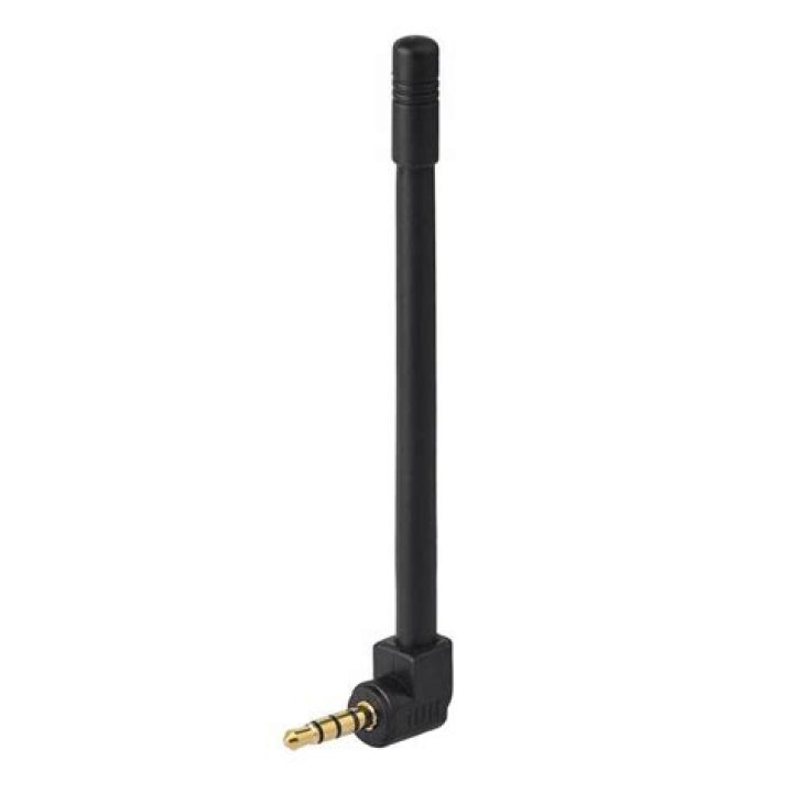 Where does the Bose Wave FM antenna plug in?