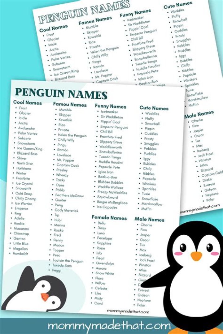 Which is the best name for a kitchen?