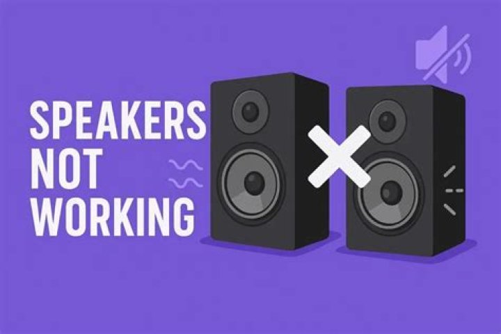 Why are my speakers not working in my AVR?