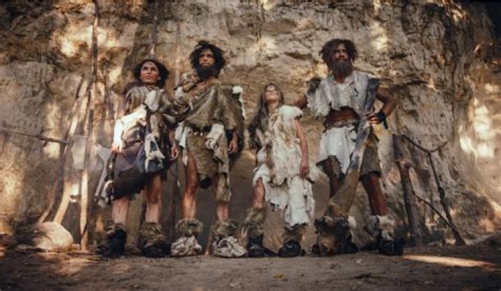 Why did people wear animal skin?