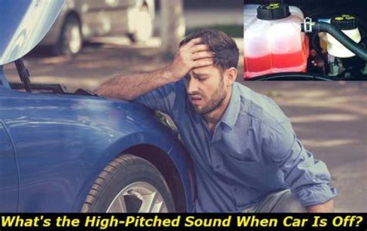 Why does my car make a high-pitched noise when I turn?
