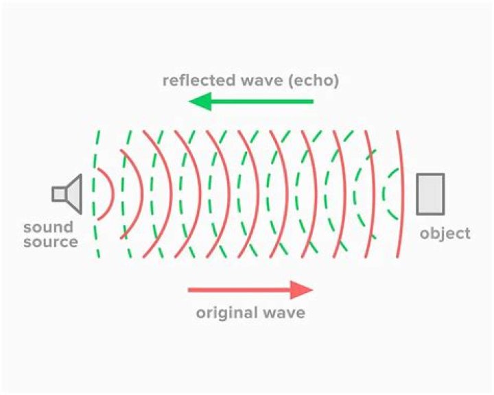 Why does my echo dot sound distorted?