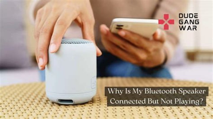 Why does my speaker say connected but not playing?