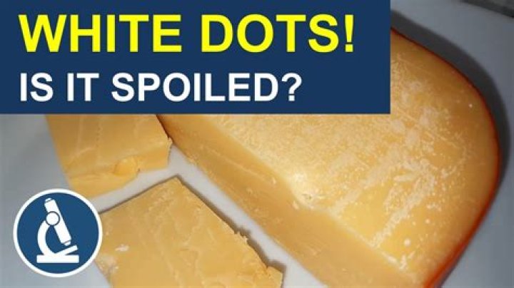 Why is cheese making me sick?