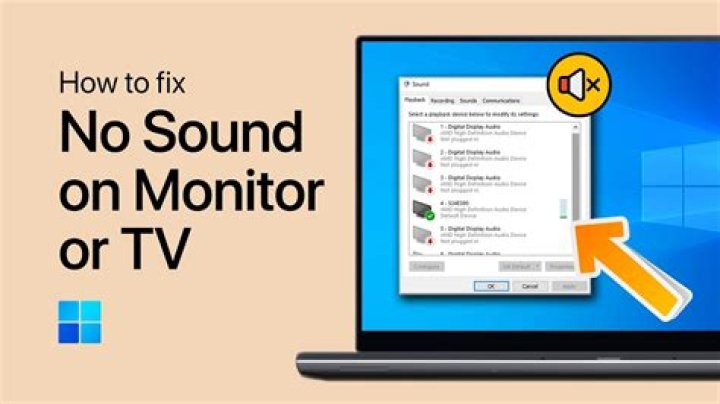 Why is my TV not playing any sound?