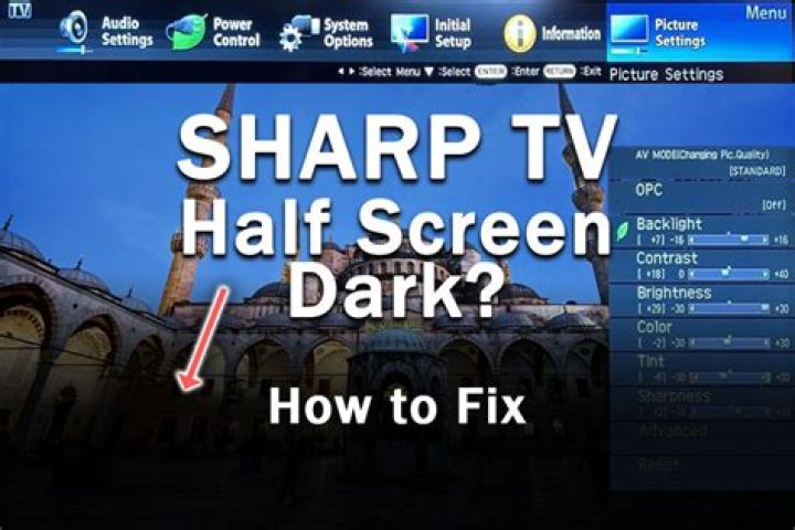 Why is my TV only showing half a picture?